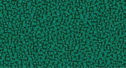 Kleur bekleding Event Donker groen 67020