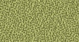 Kleur bekleding Event: Licht groen 68033