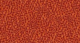 Kleur bekleding EventTerra - Oranje 63013