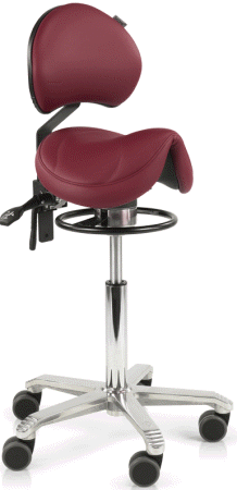 Kleur: Stamskin Bordeaux rood K170
