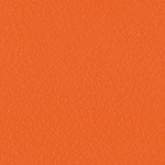 Kleur: Stamskin Dutch Oranje K196