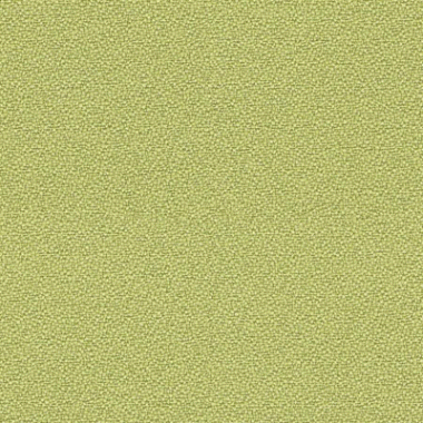 Kleur bekleding: Licht groen YS096