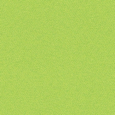 Kleur bekleding: Limoen groen YS156